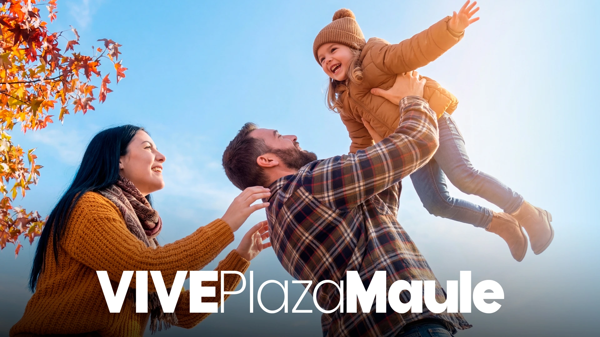 VIve Plaza Maule — imagen 4