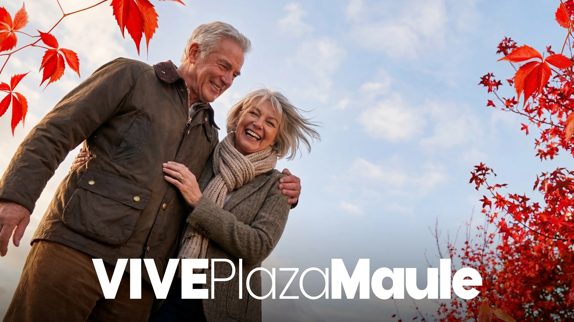 VIve Plaza Maule — imagen 5
