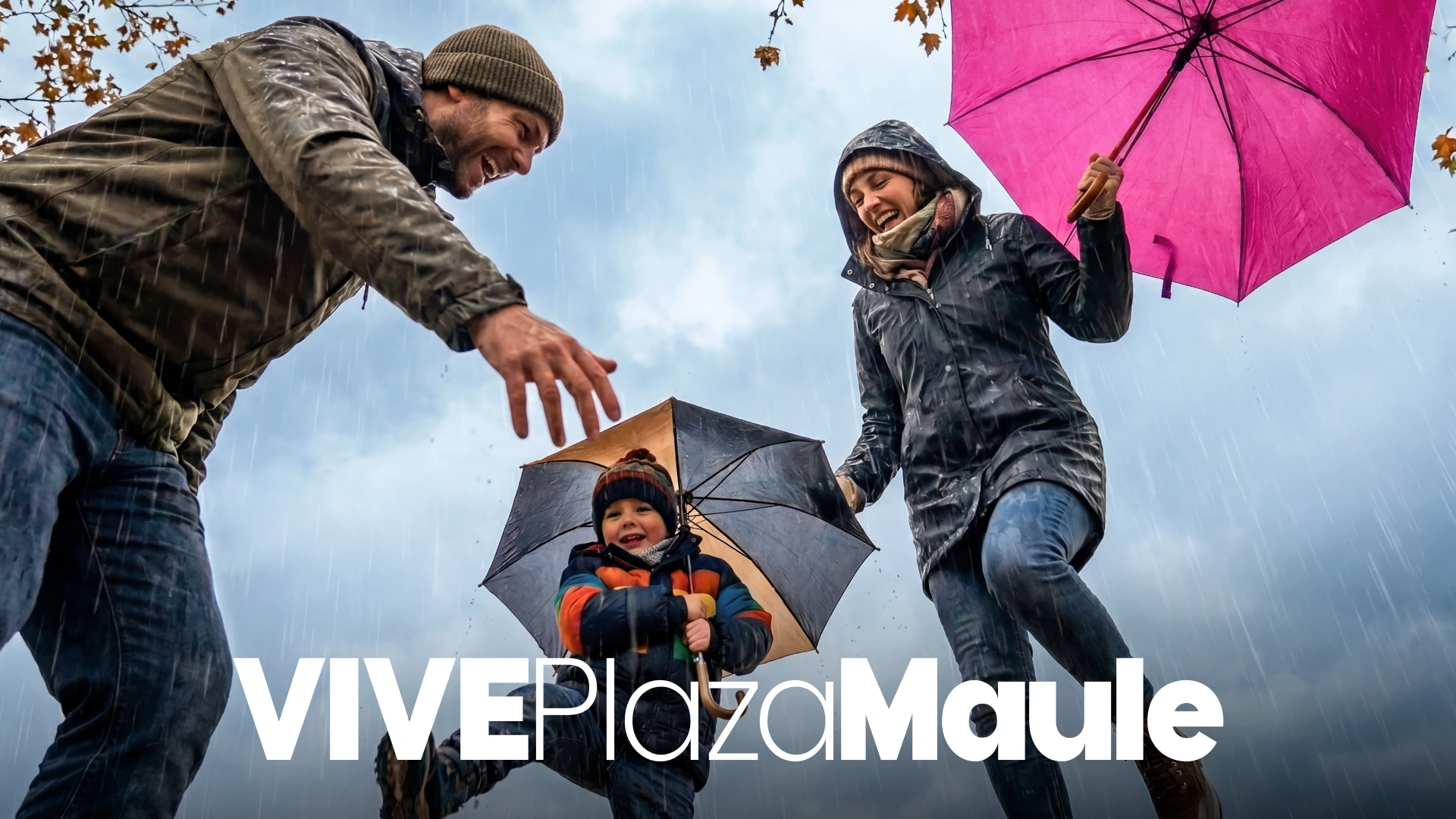 VIve Plaza Maule — imagen 7
