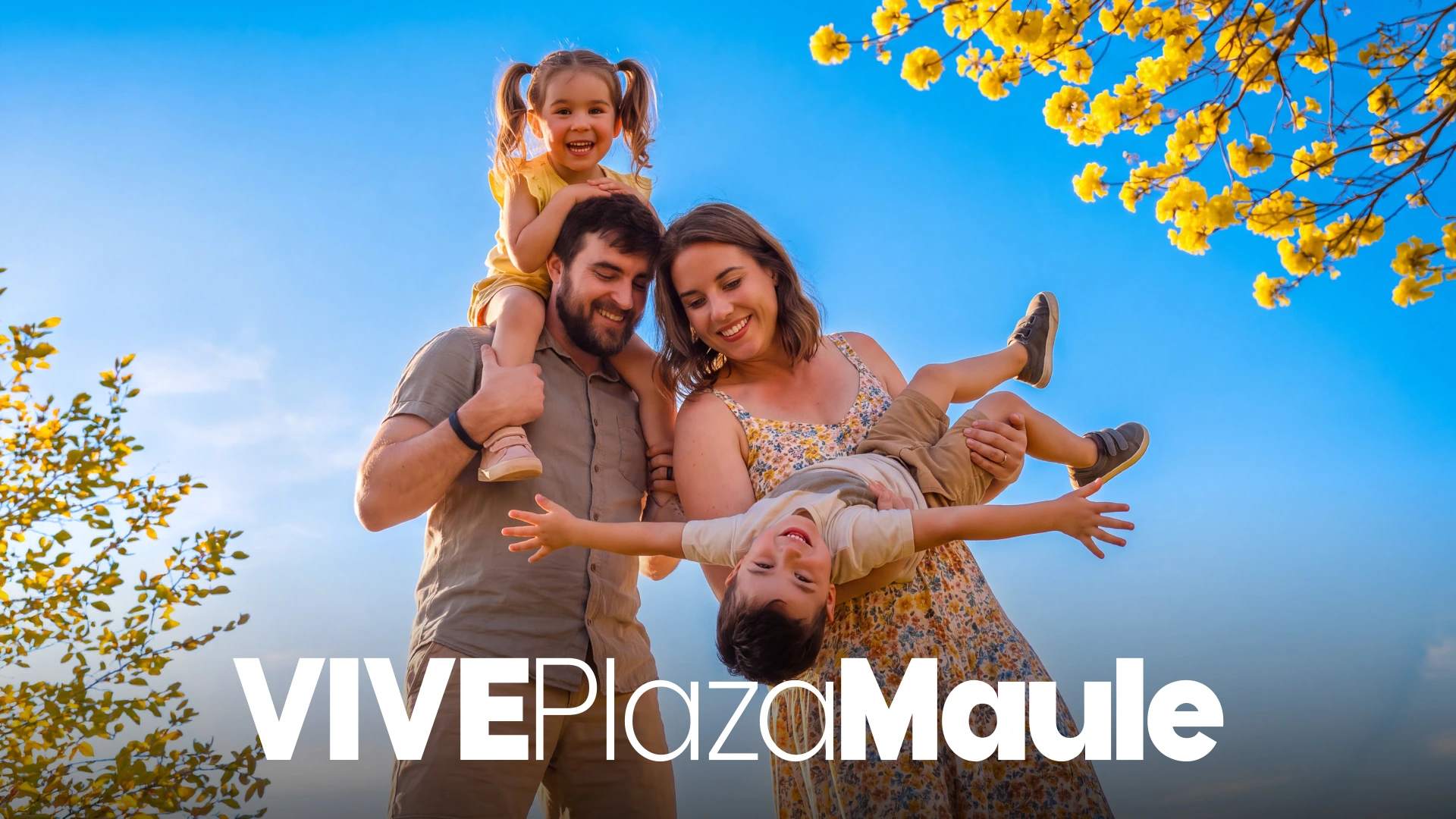 VIve Plaza Maule — imagen 8