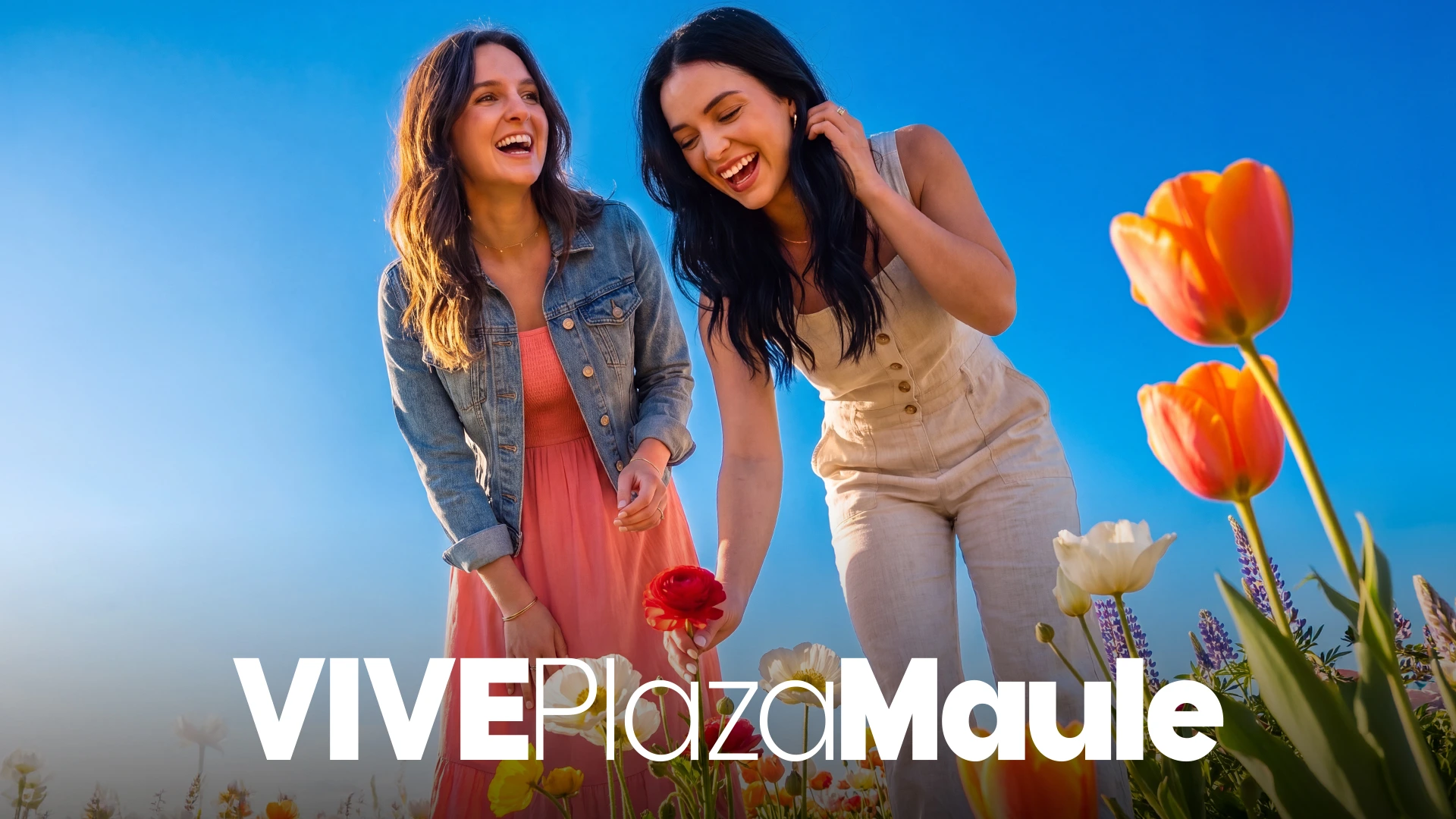 VIve Plaza Maule — imagen 9