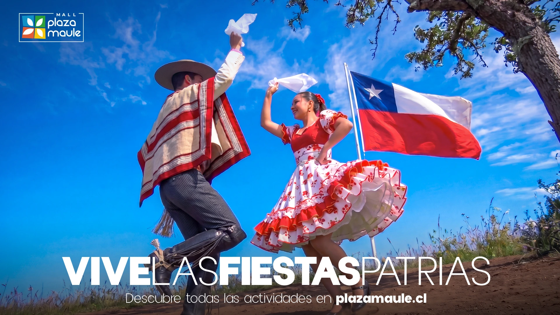 VIve Plaza Maule — imagen 12