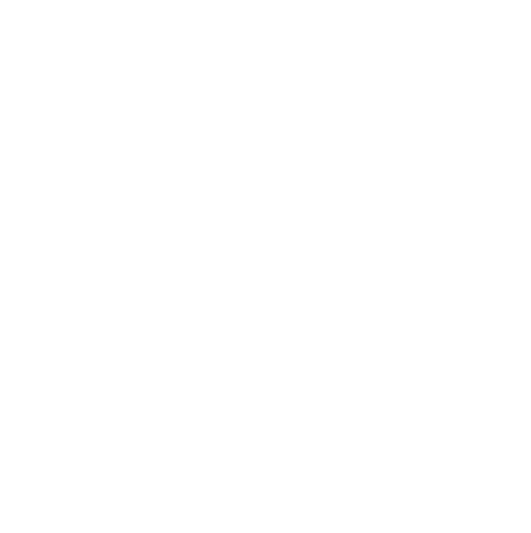 Arena Monticello
