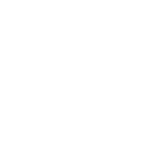 Cat's Best