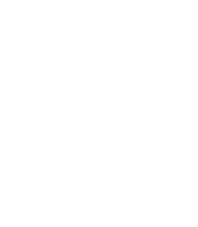 Maule Express